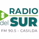 Radio Del Sur Casilda Logo