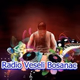 Radio Veseli Bosanac Logo