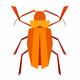 Radio Cuca Logo