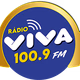 Viva FM Vitória Logo