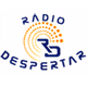 Rádio Despertar 91.0 FM Logo