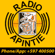 Apintie Radio Logo