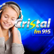 Cristal FM 91.5 Logo