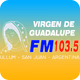 FM Virgen de Guadalupe Logo