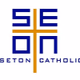 Seton Soundwaves Logo