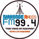 Nakonde Radio Logo