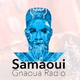 Radio Gnaoua - السماوي ، إذاعة كناوة Logo