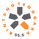 Radio Bintang Tenggara Logo