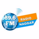 Radio Nagar Logo