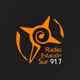 Radio Estación Sur Logo