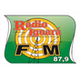 Radio Iguará Fm 87,9 logo