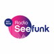 Radio Seefunk - 90er-pur Logo