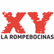 XY 107.3 FM Logo