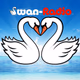 Swan-Radio Logo