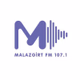Malazgirt FM Logo