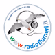 Radio Flumeri Logo